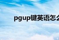 pgup键英语怎么读（pgup键在哪）
