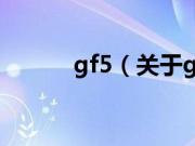 gf5（关于gf5的基本详情介绍）