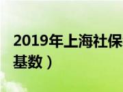 2019年上海社保缴费基数（2019年上海社保基数）