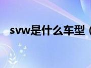 svw是什么车型（svw是什么品牌的车？）
