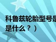 科鲁兹轮胎型号是什么意思（科鲁兹轮胎型号是什么？）