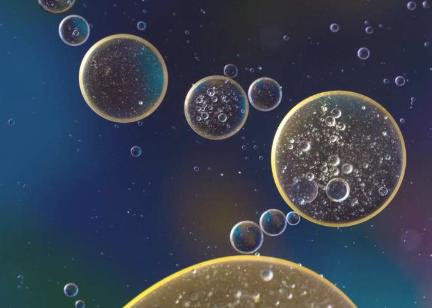 研究人员发表细胞蛋白研究结果以确定结肠癌免疫疗法的有效性