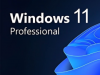 Windows 11 Pro 终身使用权现价 29.97 美元
