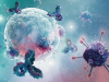 来自滤泡辅助 T 细胞的干扰素 γ 是产生肺驻留记忆 B 细胞所必需的