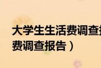 大学生生活费调查报告2000字（大学生生活费调查报告）