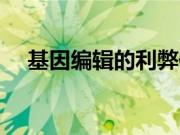 基因编辑的利弊作文（基因编辑的利弊）