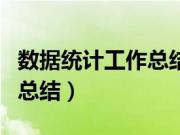 数据统计工作总结与计划PPT（数据统计工作总结）