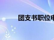 团支书职位申请书（职位申请书）