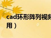 cad环形阵列视频教程（cad环形阵列怎么使用）