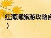 红海湾旅游攻略自驾游路线（红海湾旅游攻略）