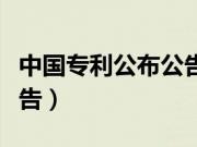 中国专利公布公告网站官网（中国专利公布公告）
