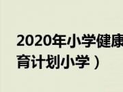 2020年小学健康教育工作计划教师（健康教育计划小学）