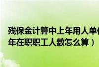 残保金计算中上年用人单位在职人数怎么统计（残保金中上年在职职工人数怎么算）