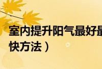 室内提升阳气最好最快方法（提升阳气最好最快方法）