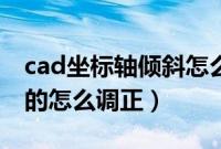cad坐标轴倾斜怎么弄正（cad十字光标是斜的怎么调正）