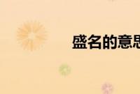盛名的意思（盛的意思）