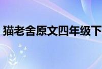 猫老舍原文四年级下册小练笔（猫老舍原文）
