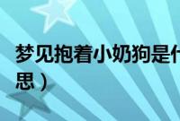 梦见抱着小奶狗是什么意思（小奶狗是什么意思）