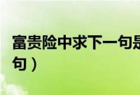 富贵险中求下一句是怎么说（富贵险中求下一句）