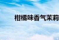 柑橘味香气茉莉结局（柑橘味香气）