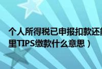 个人所得税已申报扣款还能更正吗（缴个人所得税批量扣款里TIPS缴款什么意思）