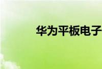 华为平板电子书（平板电子书）