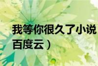 我等你很久了小说 百度网盘（我等你很久了百度云）