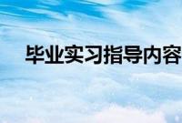 毕业实习指导内容记录（实习指导记录）