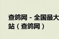 查鸽网 - 全国最大的信鸽信息足环号查询网站（查鸽网）