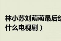 林小苏刘萌萌最后结婚了吗（林小苏刘萌萌是什么电视剧）