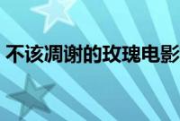 不该凋谢的玫瑰电影插曲（不该凋谢的玫瑰）