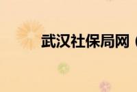 武汉社保局网（武汉社保网官网）