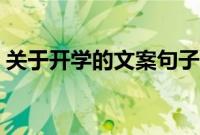关于开学的文案句子沙雕（关于开学的文案）