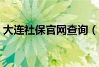 大连社保官网查询（大连社保网上查询系统）