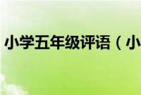 小学五年级评语（小学五年级学生评语集锦）