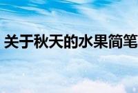 关于秋天的水果简笔画（秋天的水果简笔画）