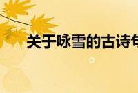 关于咏雪的古诗句（关于咏雪的古诗）