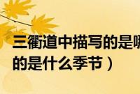 三衢道中描写的是哪一个季节（三衢道中描写的是什么季节）
