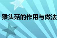 猴头菇的作用与做法（猴头菇的功效与做法）