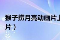猴子捞月亮动画片上海美术（猴子捞月亮动画片）