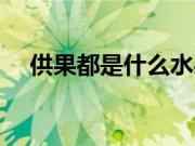 供果都是什么水果（供果是哪五样水果）