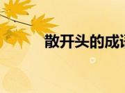 散开头的成语（ran开头的成语）