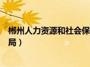郴州人力资源和社会保障局地址（郴州人力资源和社会保障局）