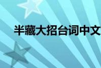半藏大招台词中文意思（半藏大招台词）