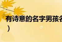 有诗意的名字男孩名字游戏（有诗意的名字男）