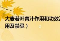 大麦若叶青汁作用和功效及禁忌（大麦若叶青汁的功效与作用及禁忌）