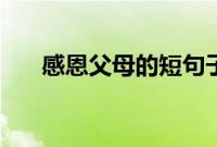 感恩父母的短句子（感恩父母的短句）