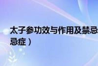太子参功效与作用及禁忌症有哪些?（太子参功效与作用禁忌症）