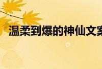 温柔到爆的神仙文案短句（神仙温柔文案）
