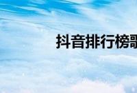 抖音排行榜歌曲（抖音排行）